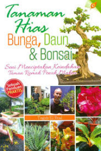 Image of Tanaman Hias Bunga, Daun, dan Bonsai