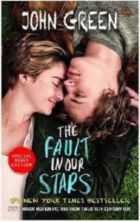 Image of The Fault In Our Stars