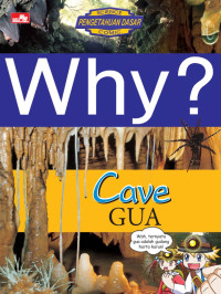 Image of Why?: Cave = Gua